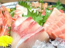sora_02_20100201.jpg